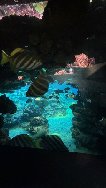 【返済不要】ウインテックの留学奨学金レポートWA水族館