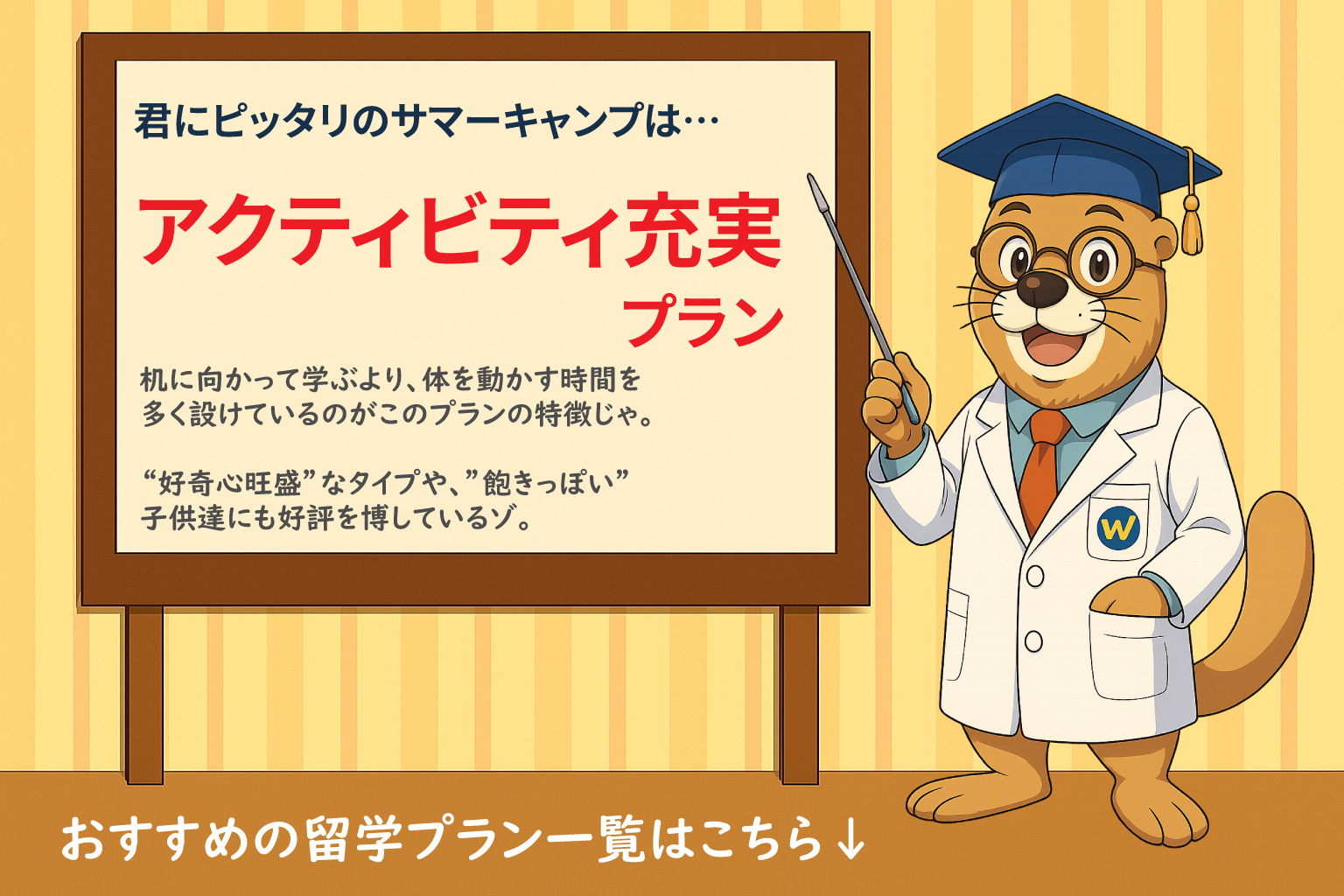 サマーキャンプ診断_アクティビティ充実プラン