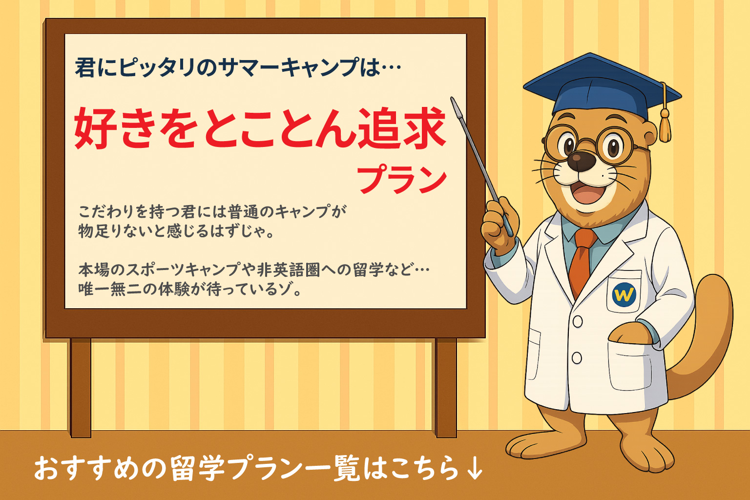 サマーキャンプ診断_好きをとことん追求プラン