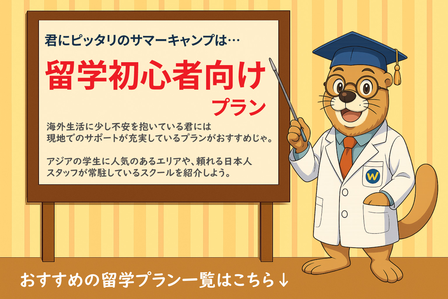 サマーキャンプ診断_留学初心者向けプラン